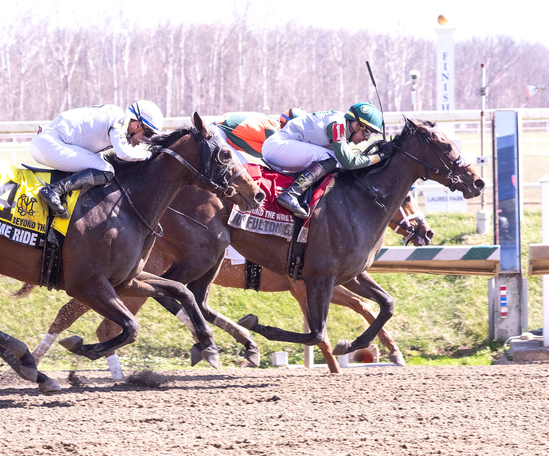 Filly Selected By Late Jockey ‘Jimbo’ Bracciale Could Bring His ...