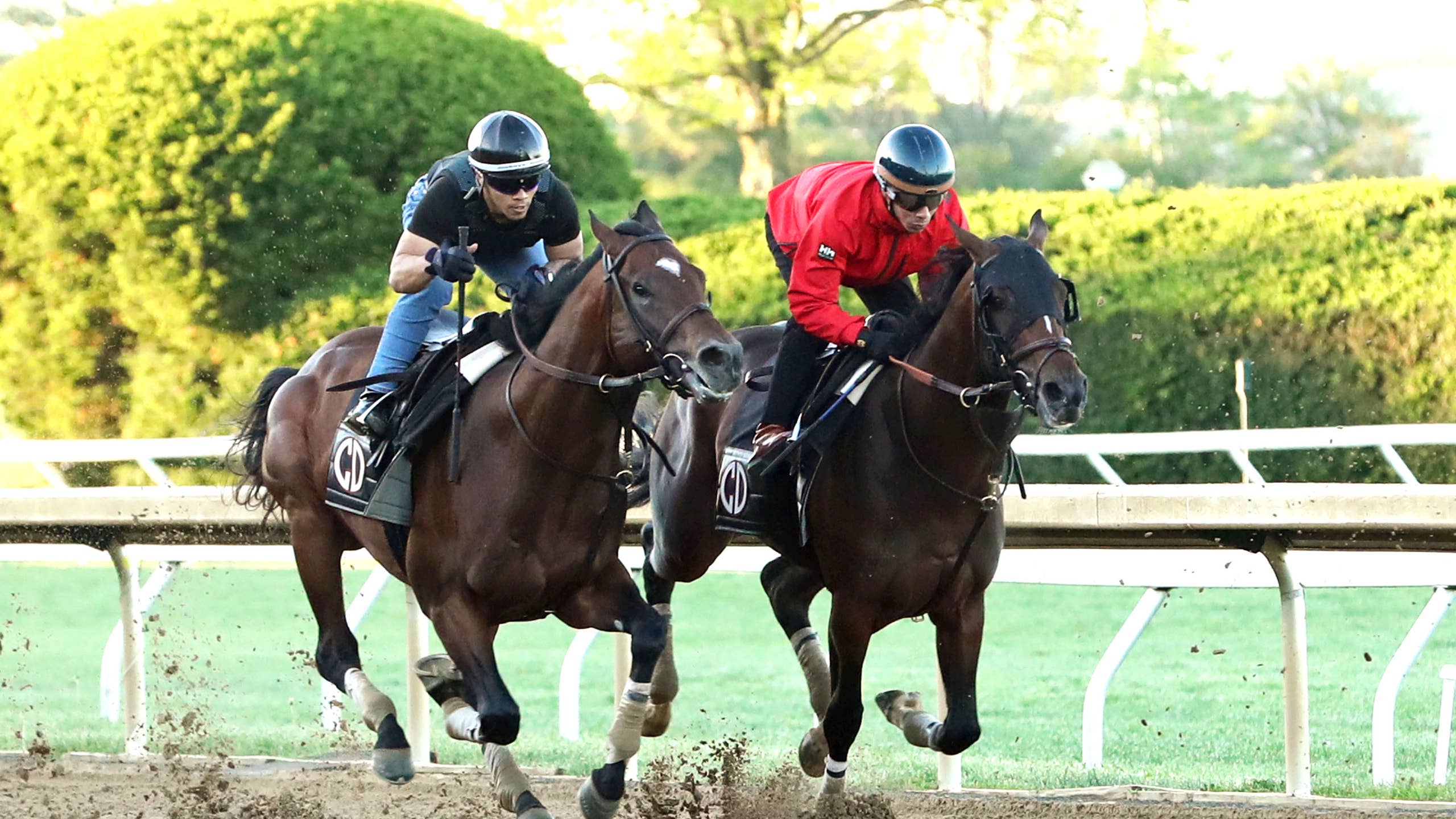 Golden Tempo Fires Final Kentucky Derby Breeze At Keeneland - Paulick Report