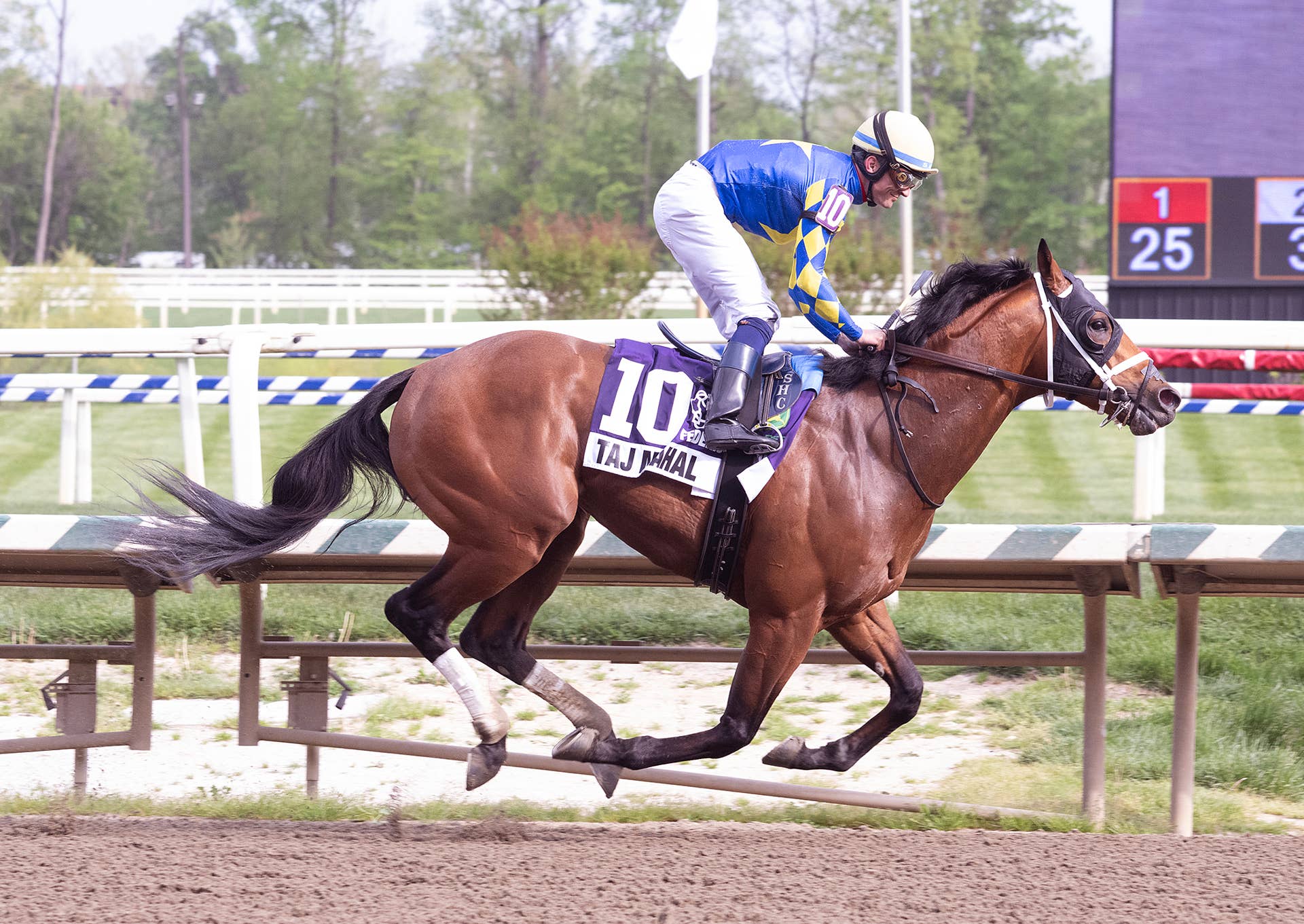 Russell Rode Taj Mahal, unbeaten Laurel Park standout, targets Preakness at home ...