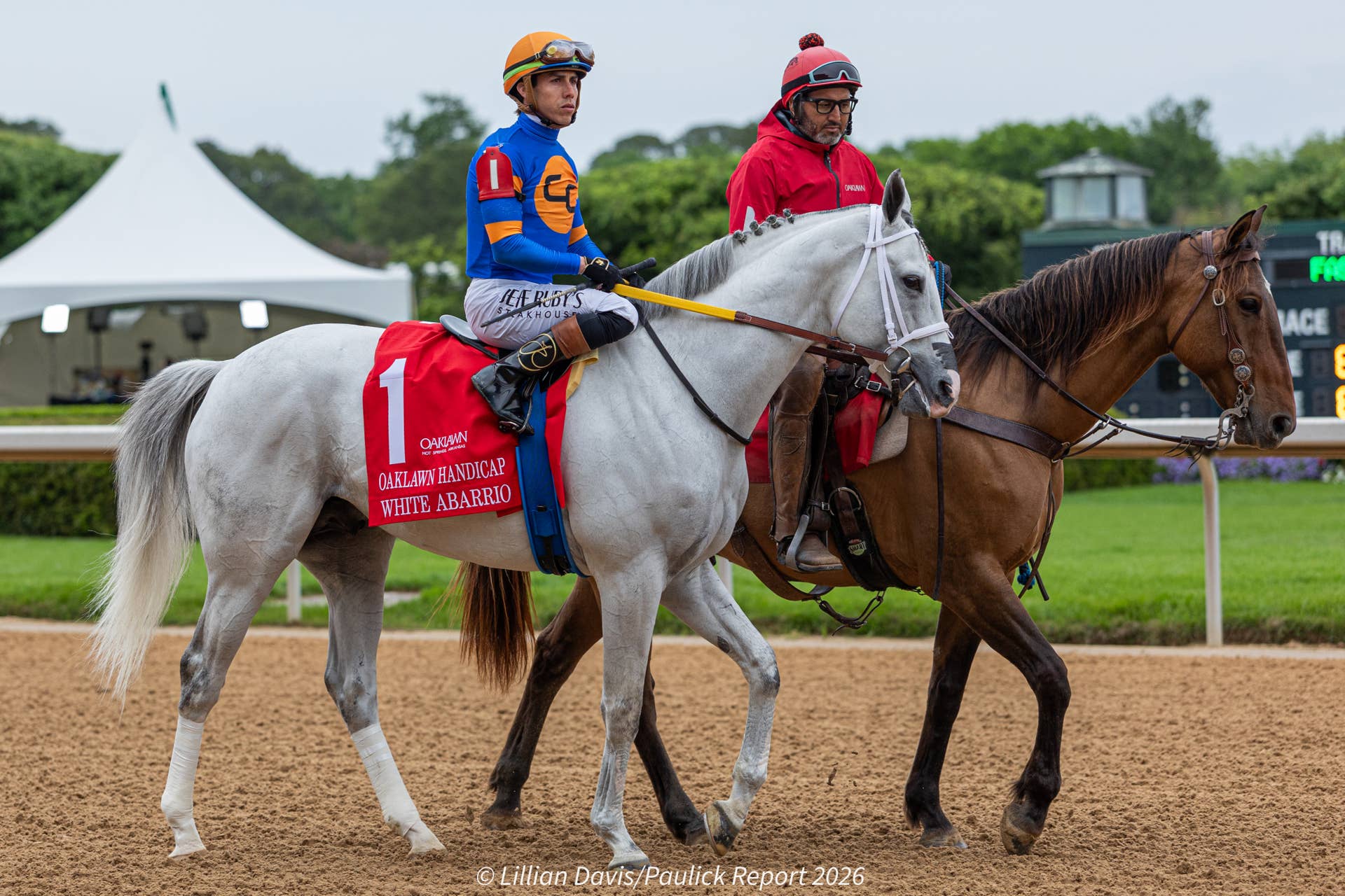 White Abarrio To Join Gainesway Farm In 2027 - Paulick Report