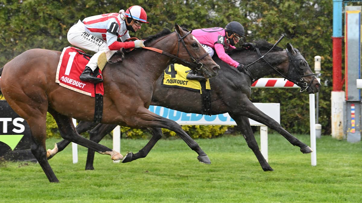 Stakes Winner Blackmail Leads Field Of Nine In Water Tower Stakes