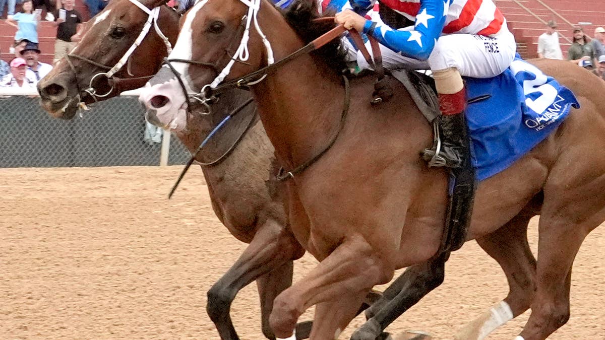 Queen's Martini Denies Pronghorn In Dig A Diamond Thriller