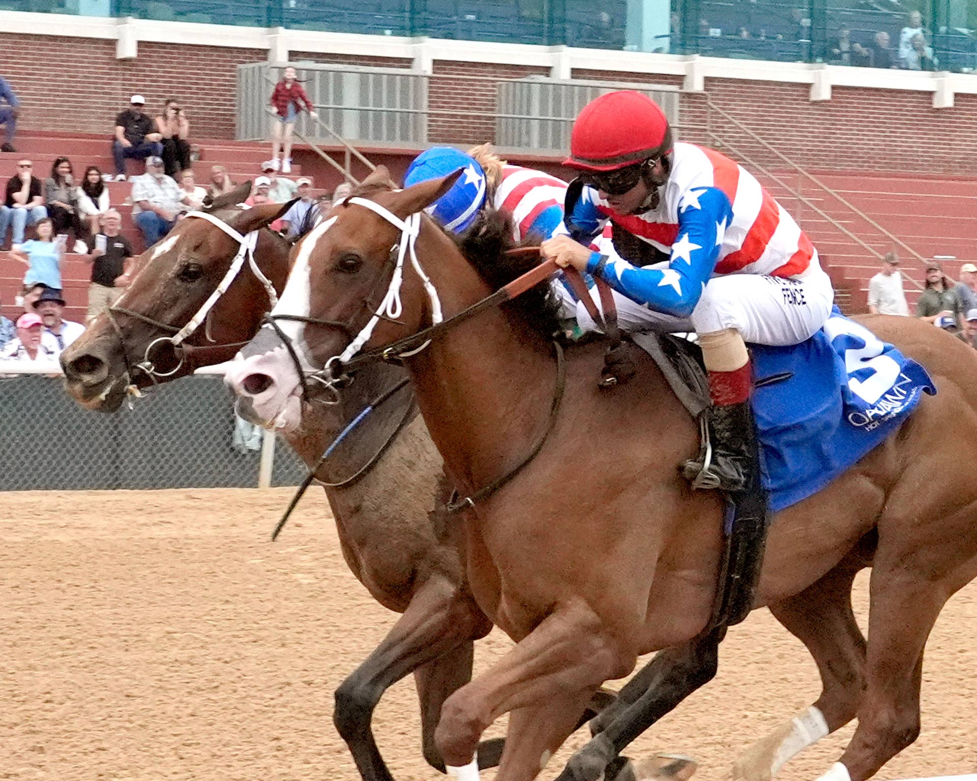 Queen Robi Queen's Martini Denies Pronghorn In Dig A Diamond Thriller - Paulick Report