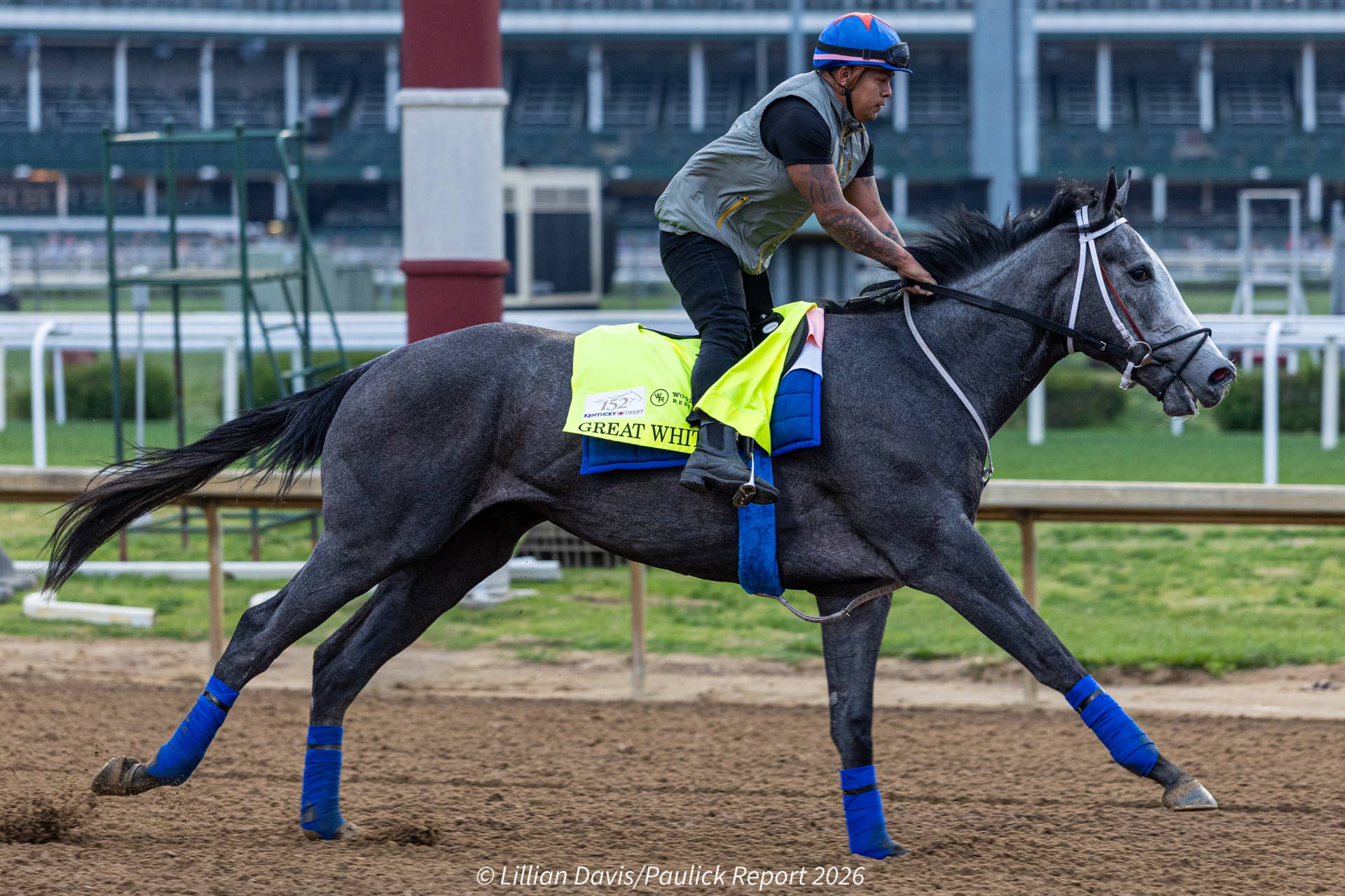 【ジェンティルドンナ/2014 DUBAI SHEEMA CLASSIC】 Dubai Sheema Classic 2014 G1 - Gentildonna - YouTube