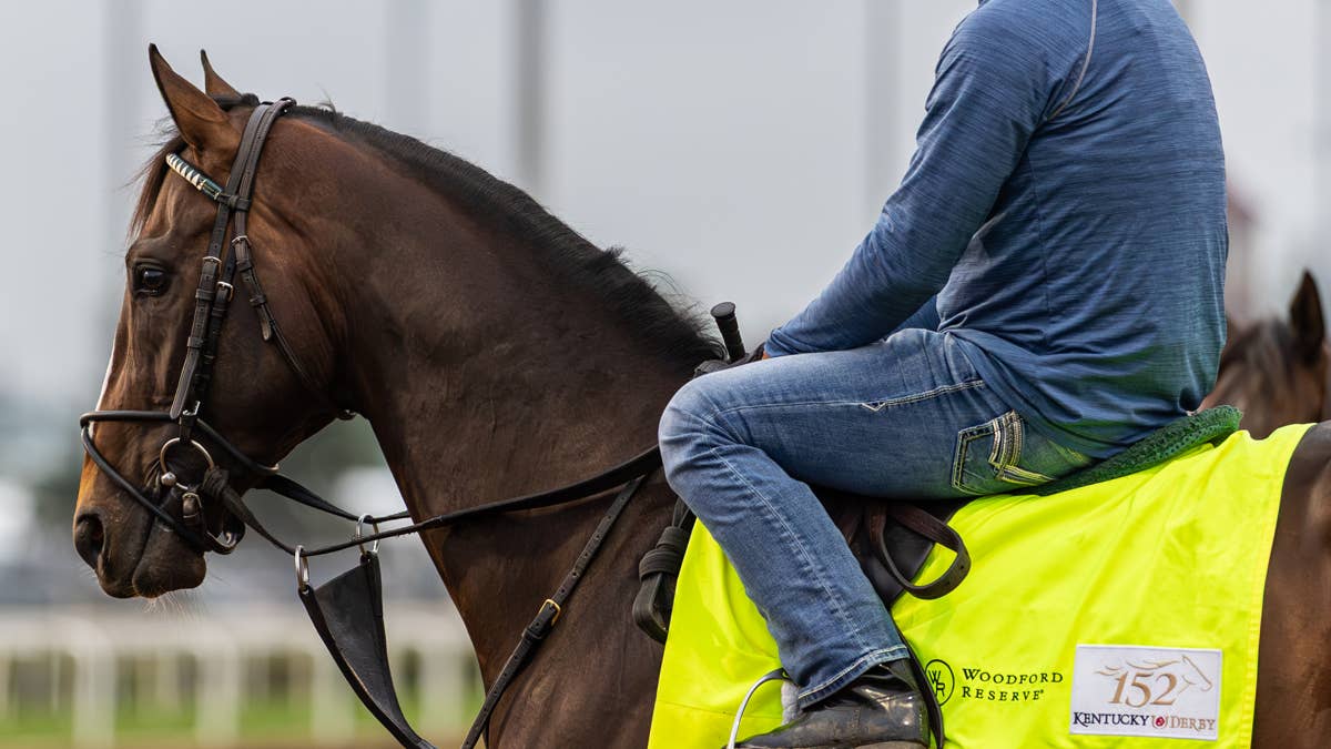 Breeders' Cup Presents Connections: The Unraced Million-Dollar Yearling Behind A Belmont Hope