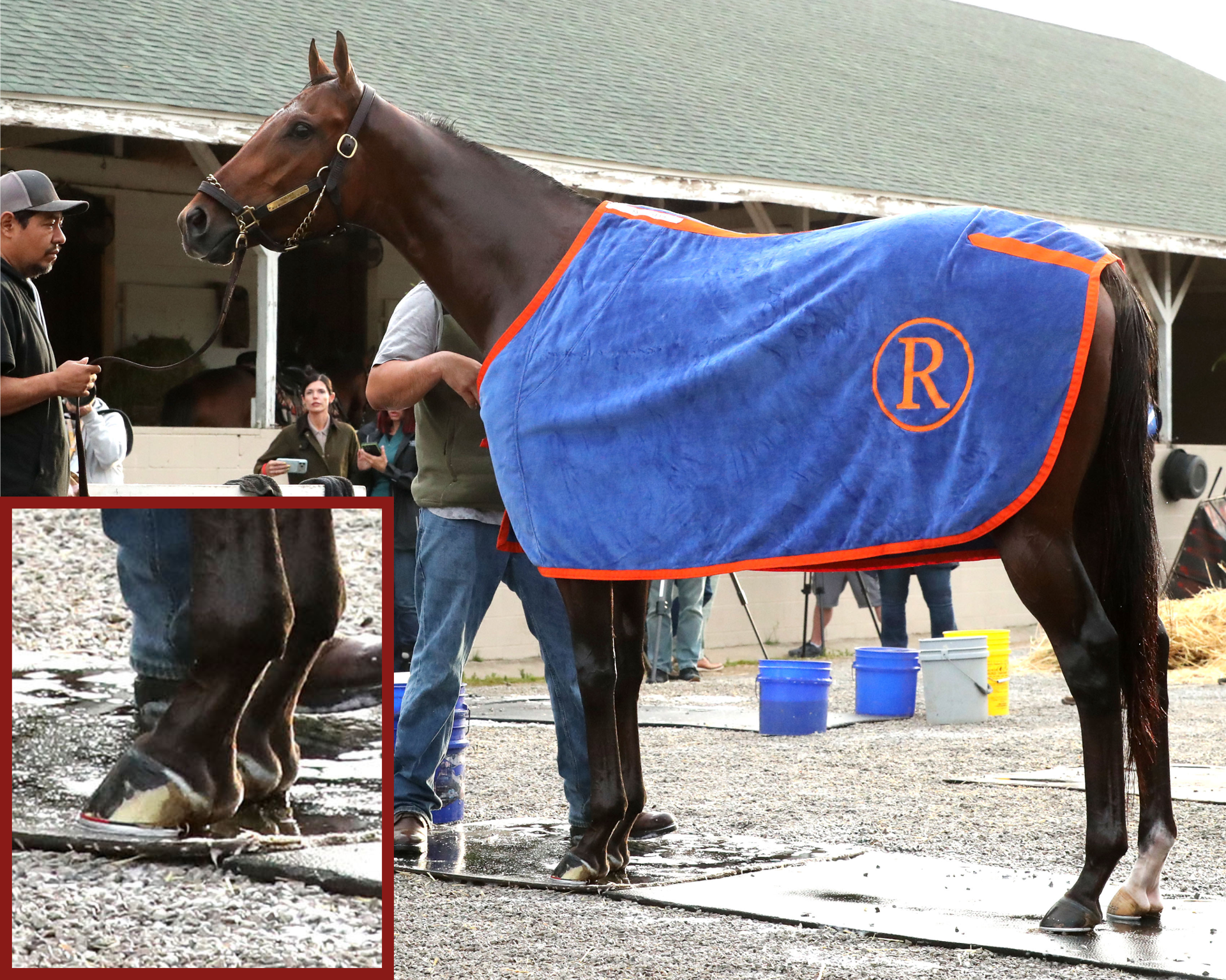 Repole Stable - Paulick Report