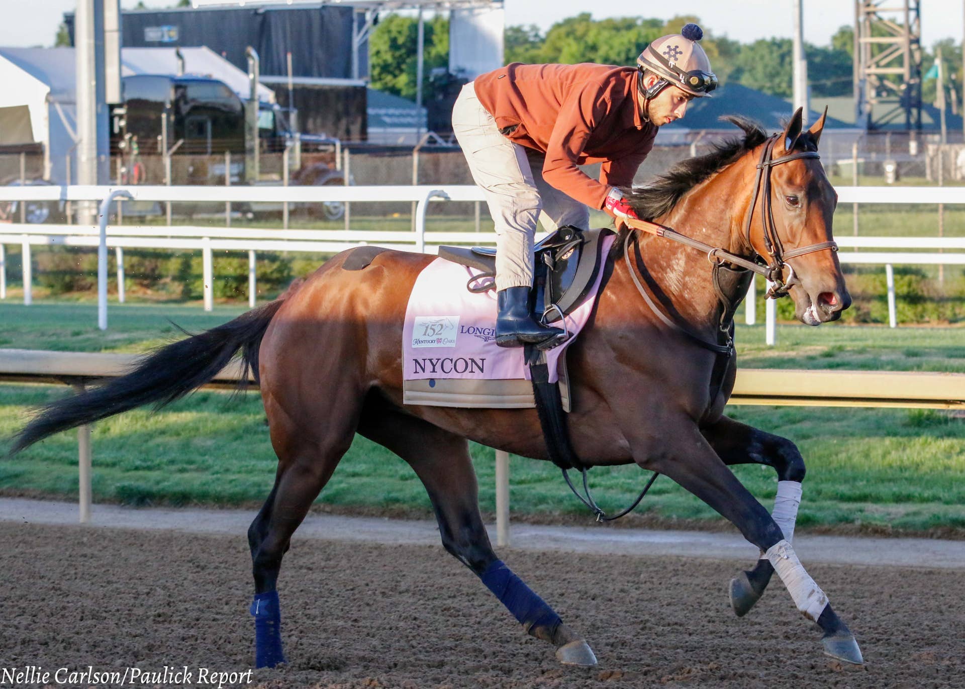 Gentildonna Surges to Victory in Dubai Sheema Classic - Paulick Report