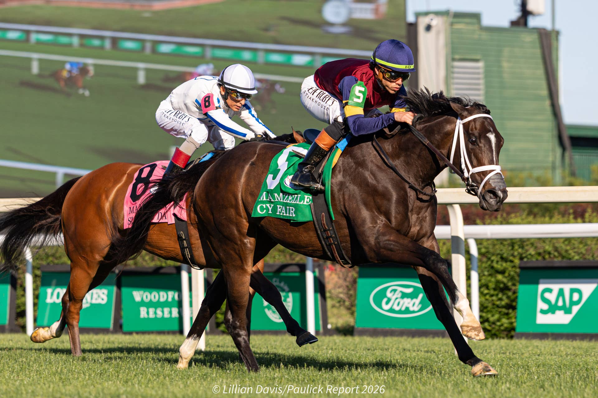 Gentildonna Surges to Victory in Dubai Sheema Classic - Paulick Report
