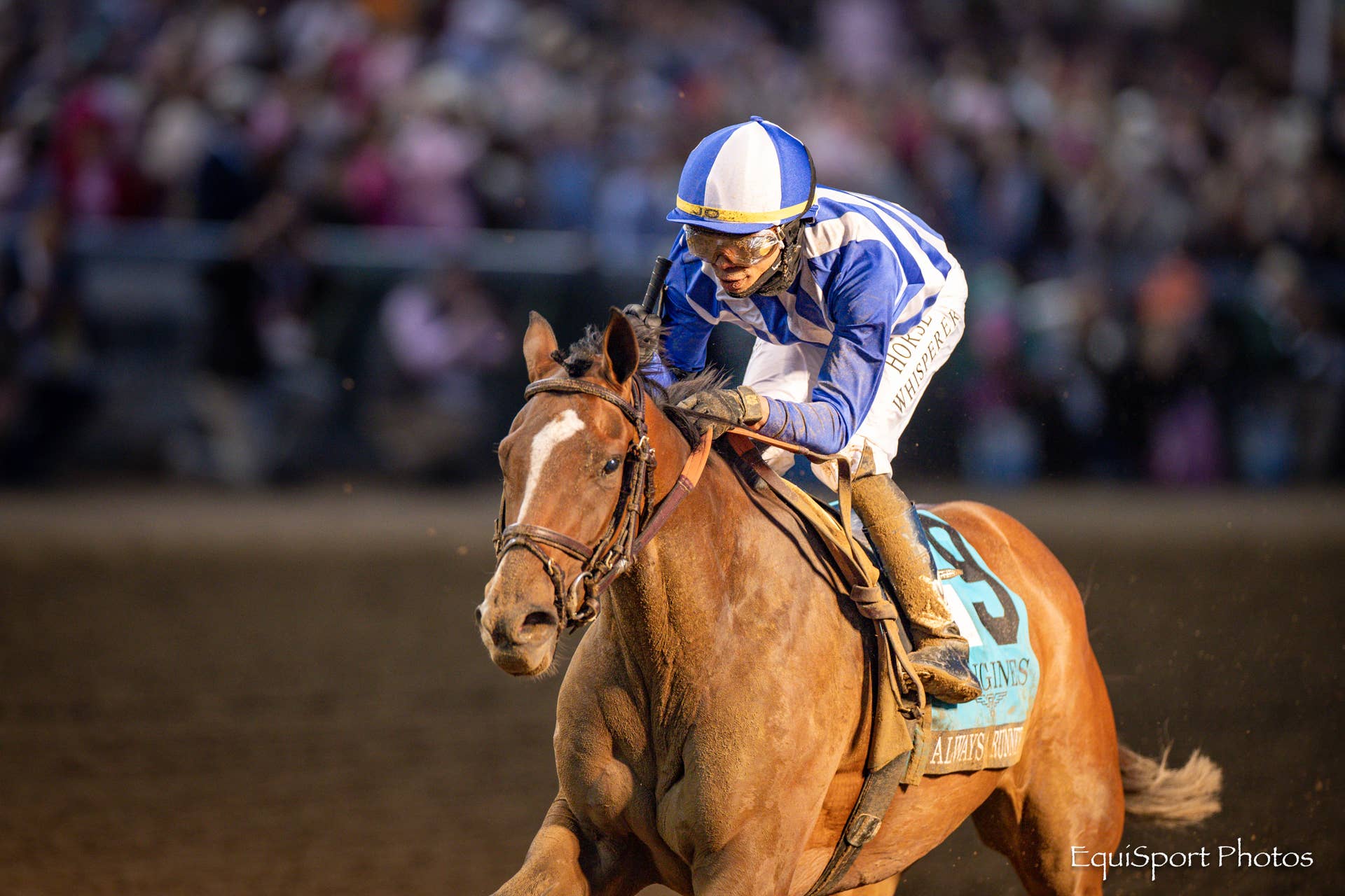 Gentildonna Surges to Victory in Dubai Sheema Classic - Paulick Report