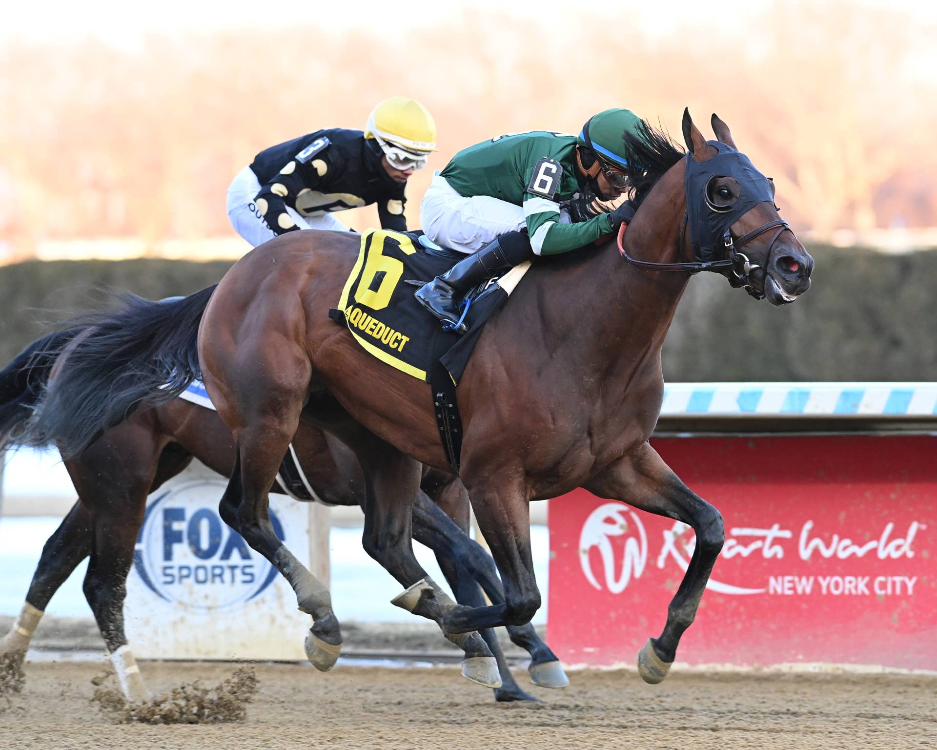 Iron Honor Will Race Without Blinkers In Preakness 151 - Paulick Report