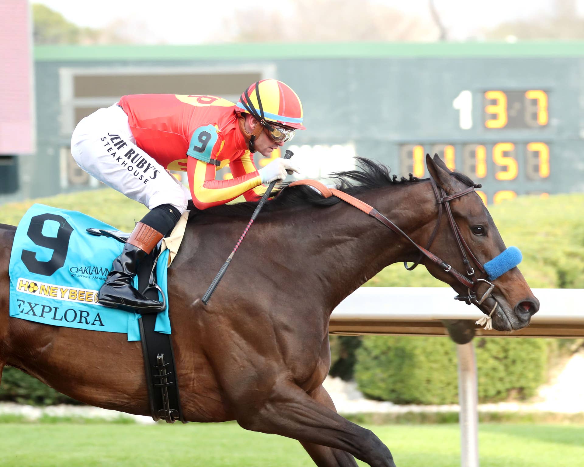 explora-honeybee-stakes-g3-03-