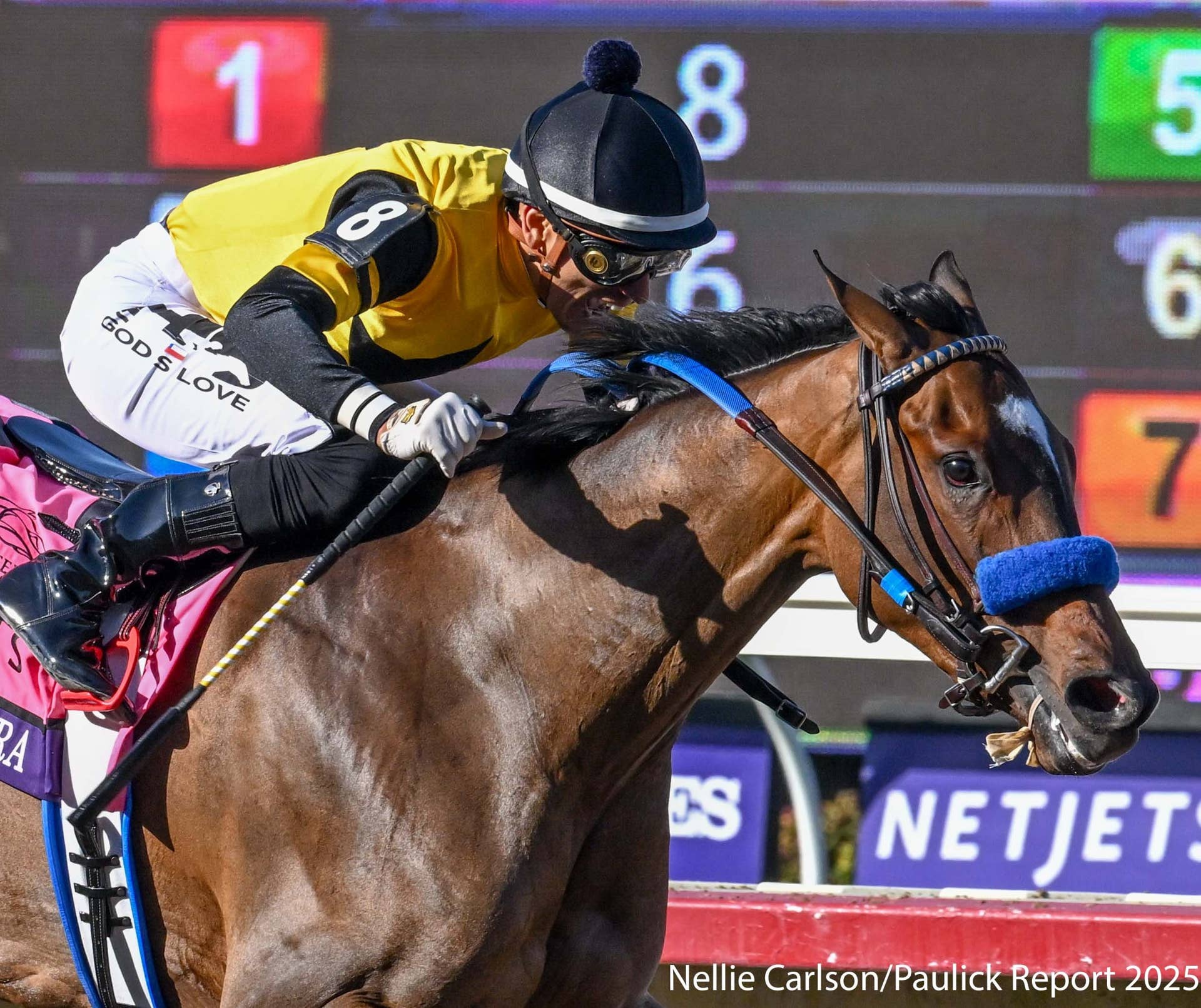 XBTV Introduces 2021 Breeders' Cup Video Portal - Paulick Report