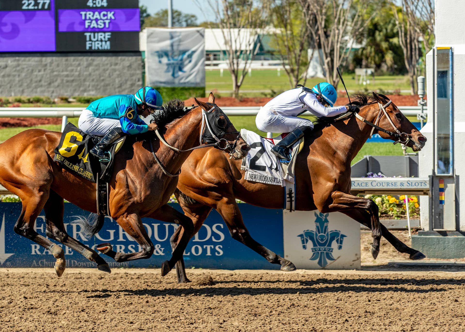【ジェンティルドンナ/2014 DUBAI SHEEMA CLASSIC】 ジェンティルドンナがドバイ・シーマクラシック優勝 写真5枚 国際
