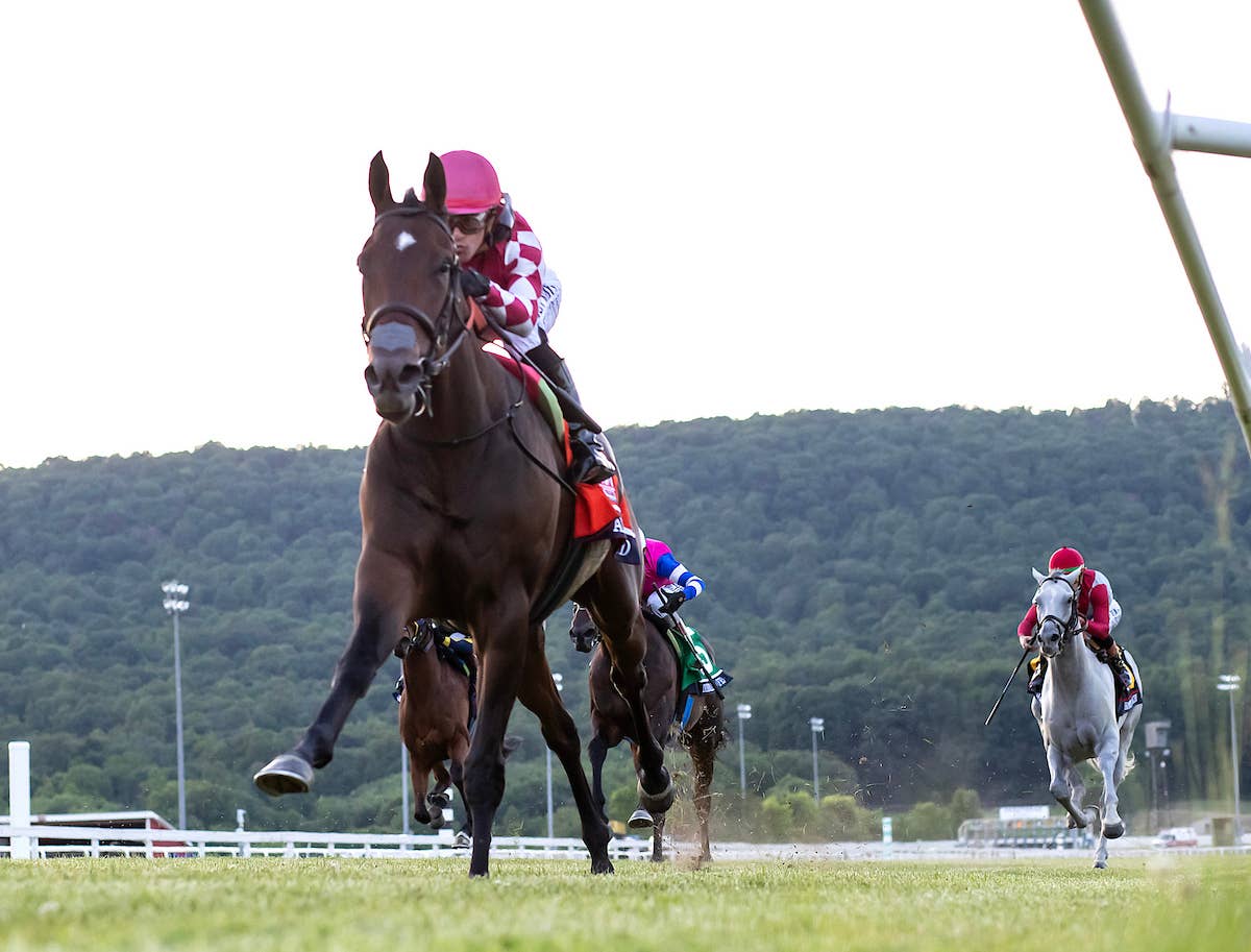 Gentildonna Surges to Victory in Dubai Sheema Classic - Paulick Report