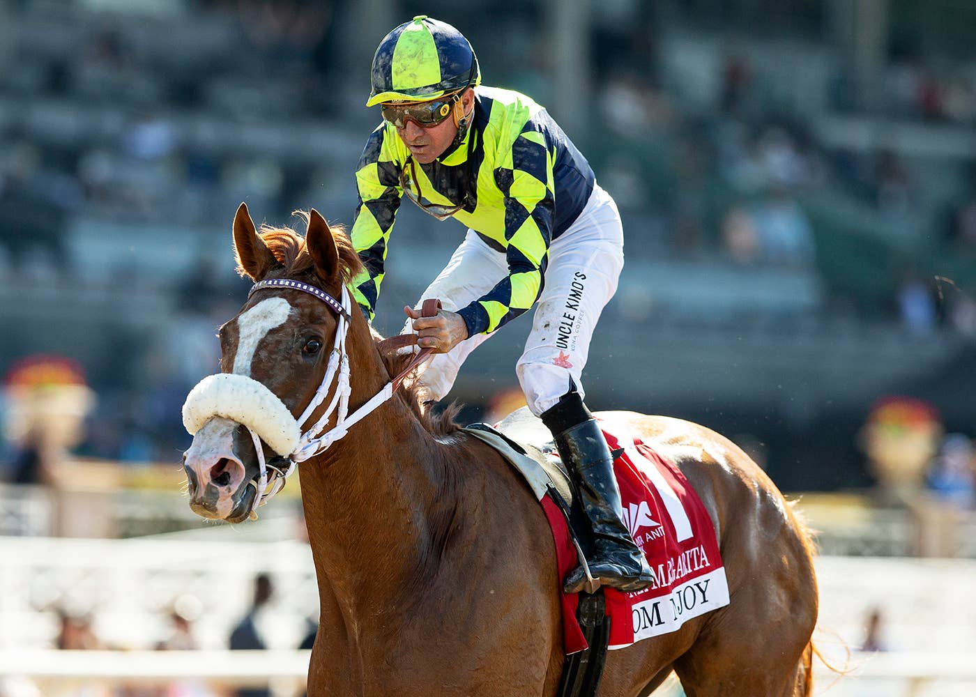 Gentildonna Surges to Victory in Dubai Sheema Classic - Paulick Report