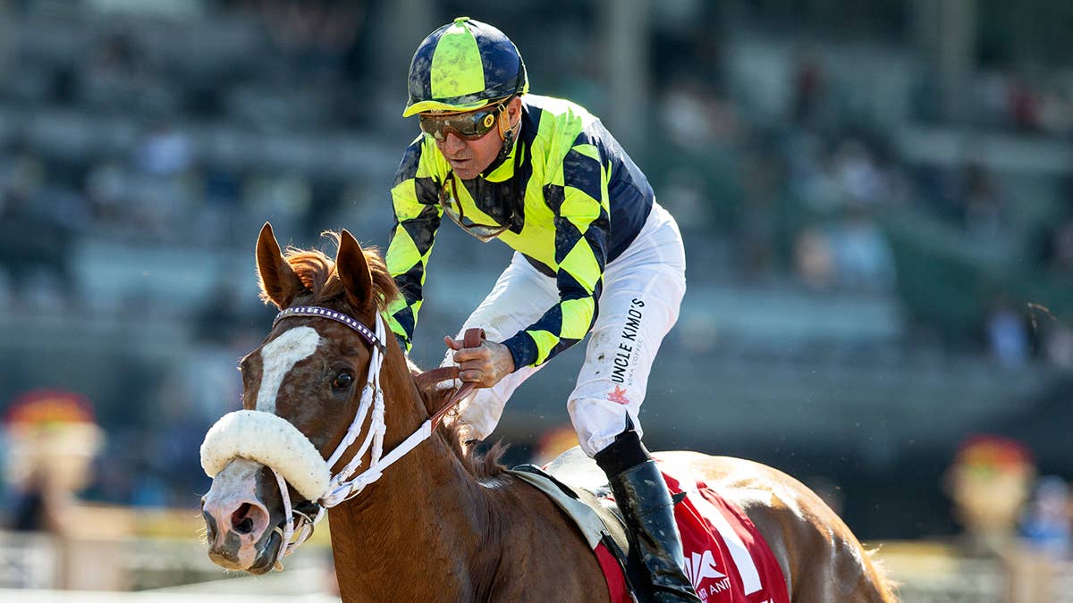 Om N Joy Targets Clement L. Hirsch