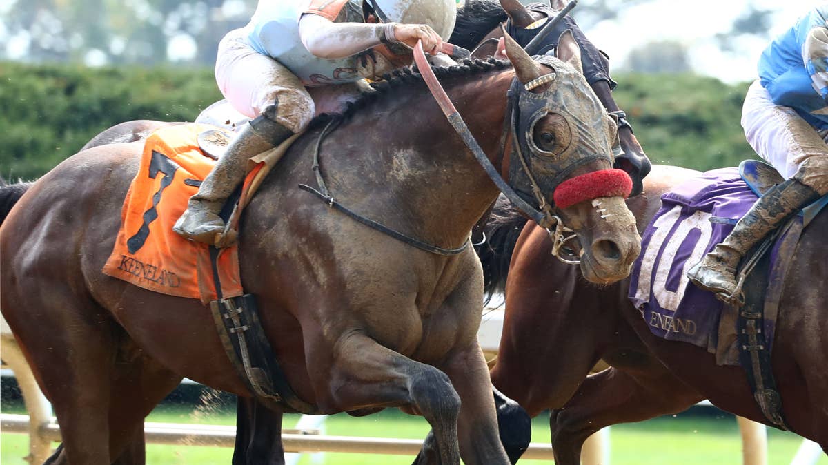 Belmont Hopeful Vitruvian Man Drills At Santa Anita