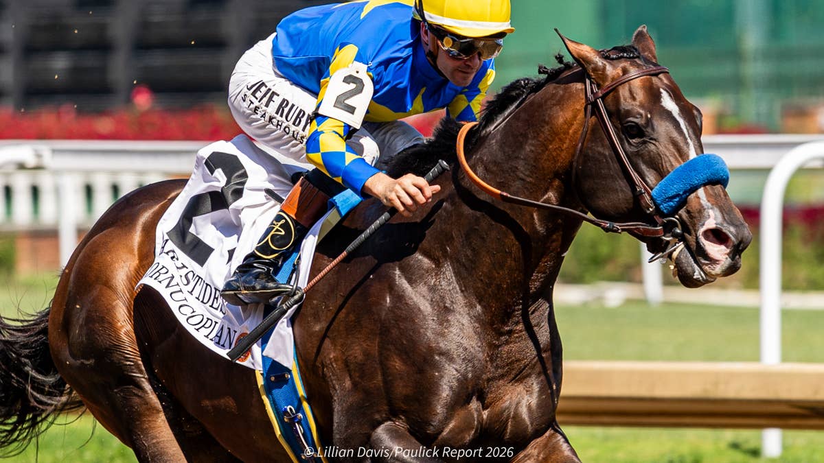 Cornucopian Leads Stephen Foster Undercard Nominees On Busy Churchill Tab