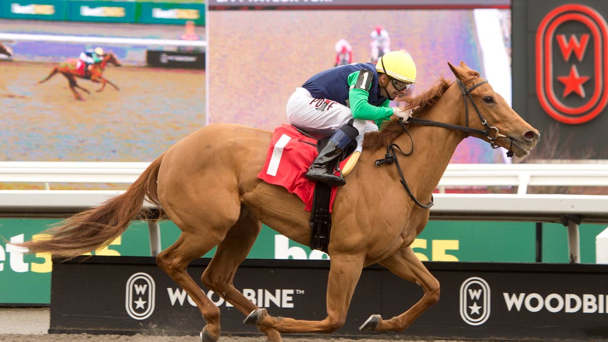 Improving Pageant Queen Seeks First Stakes Win In Fury