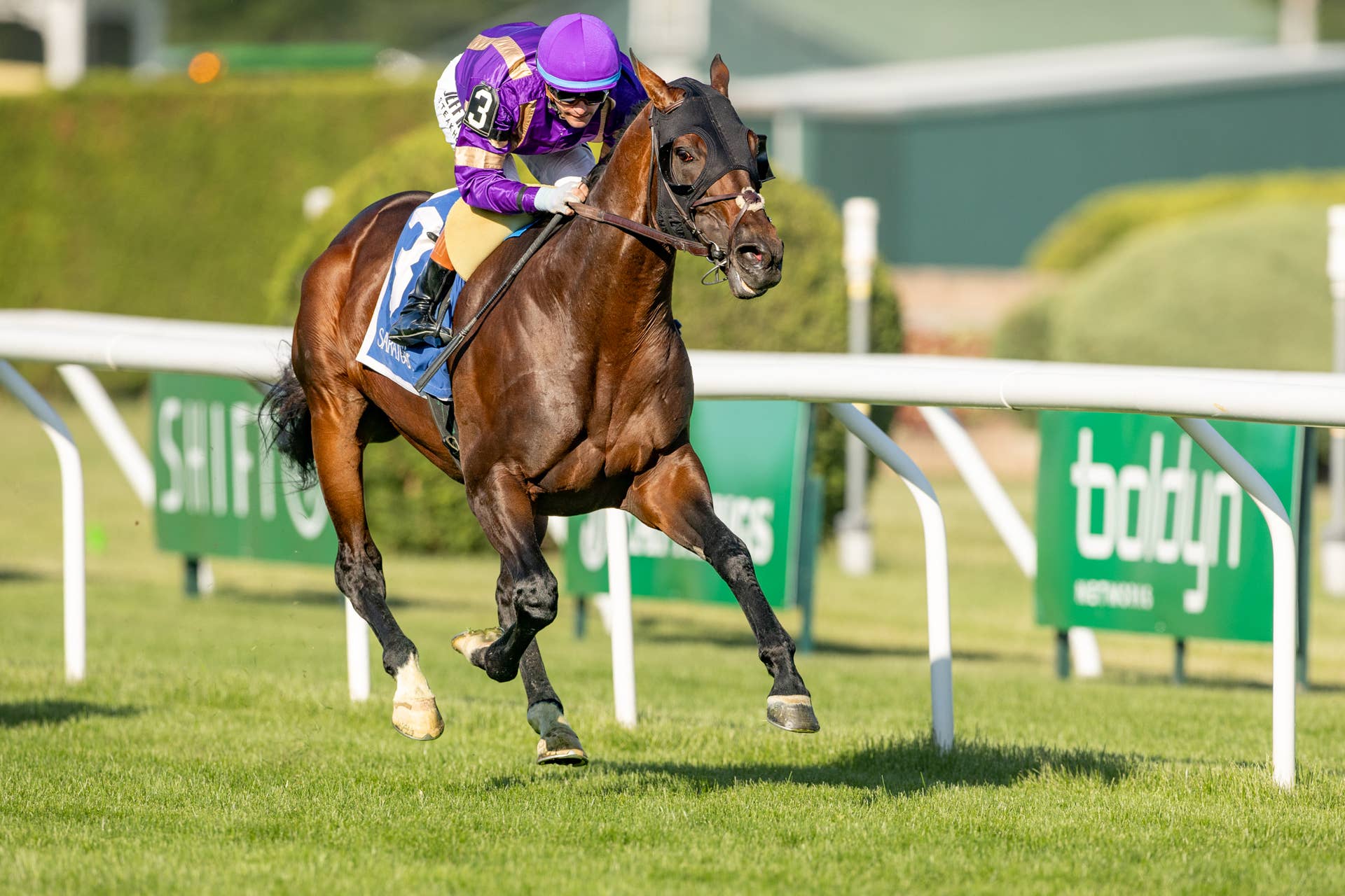 ‘Big, Powerful' Tawny Port Tries For Ky Downs Breakthrough In Marathon Bowling Green Gold Cup