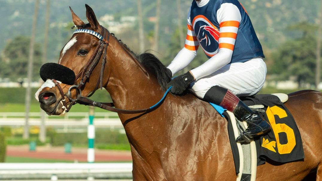 Phil D’Amato Has Three Upset Chances In Honeymoon Stakes