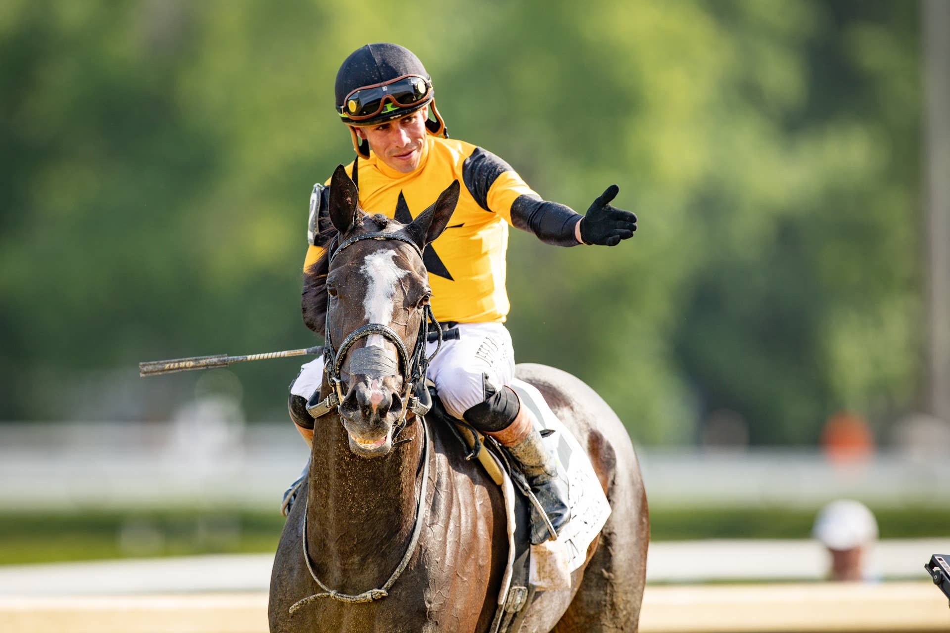 Gentildonna Surges to Victory in Dubai Sheema Classic - Paulick Report