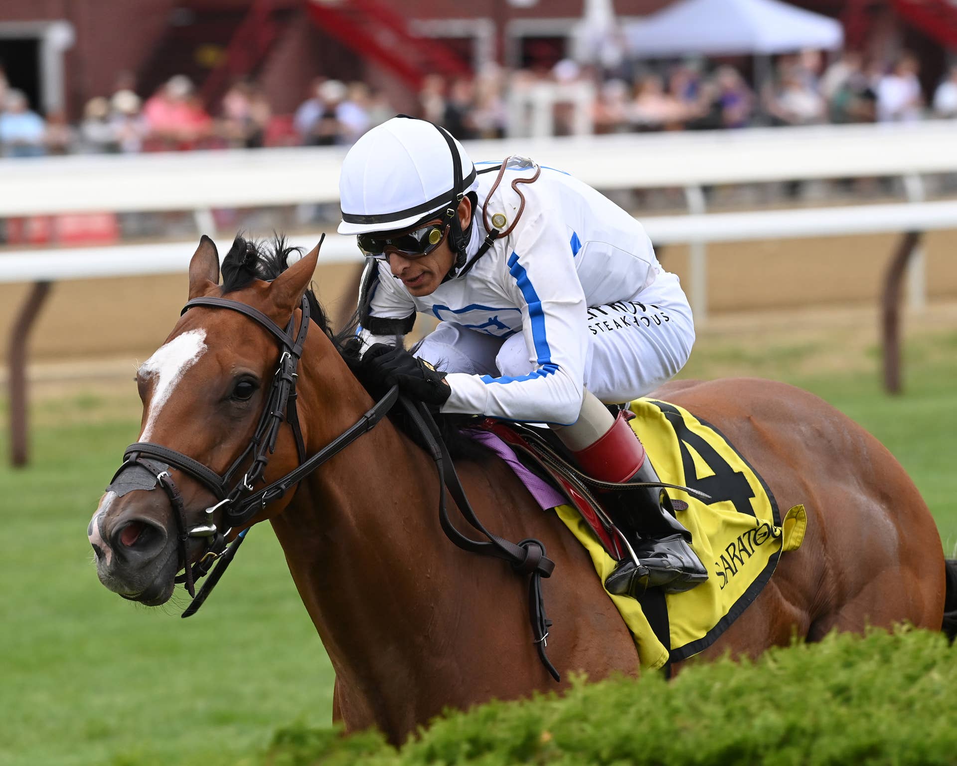 Slay The Day Stays True To Form In Soaring Softly - Paulick Report