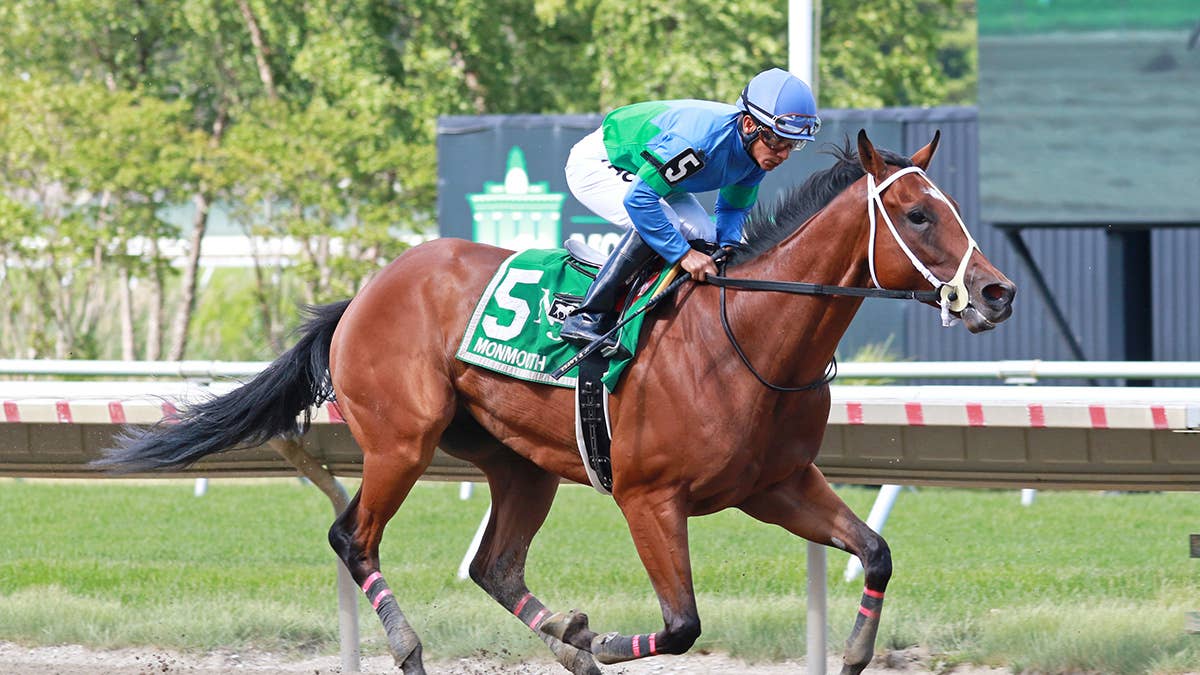 Jersey-Bred Cairo Surprise Tries Open Company In My Frenchman Stakes