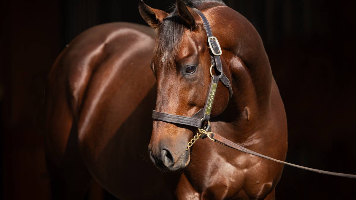 First Flightline Foals Set For Debuts At Churchill Downs