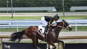 New York-Bred Maiden Spotlight: Prime Aurora's Accidental Path To A Historic Debut