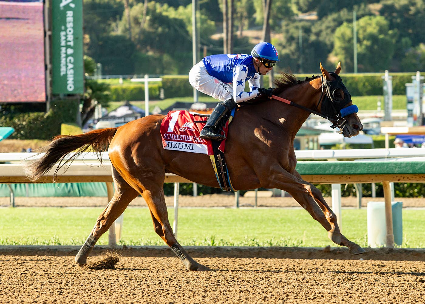 Oddsmaker Person Kentucky Downs Q&A: Oddsmaker Nick Tammaro On The Track's One-Of-A-Kind ...