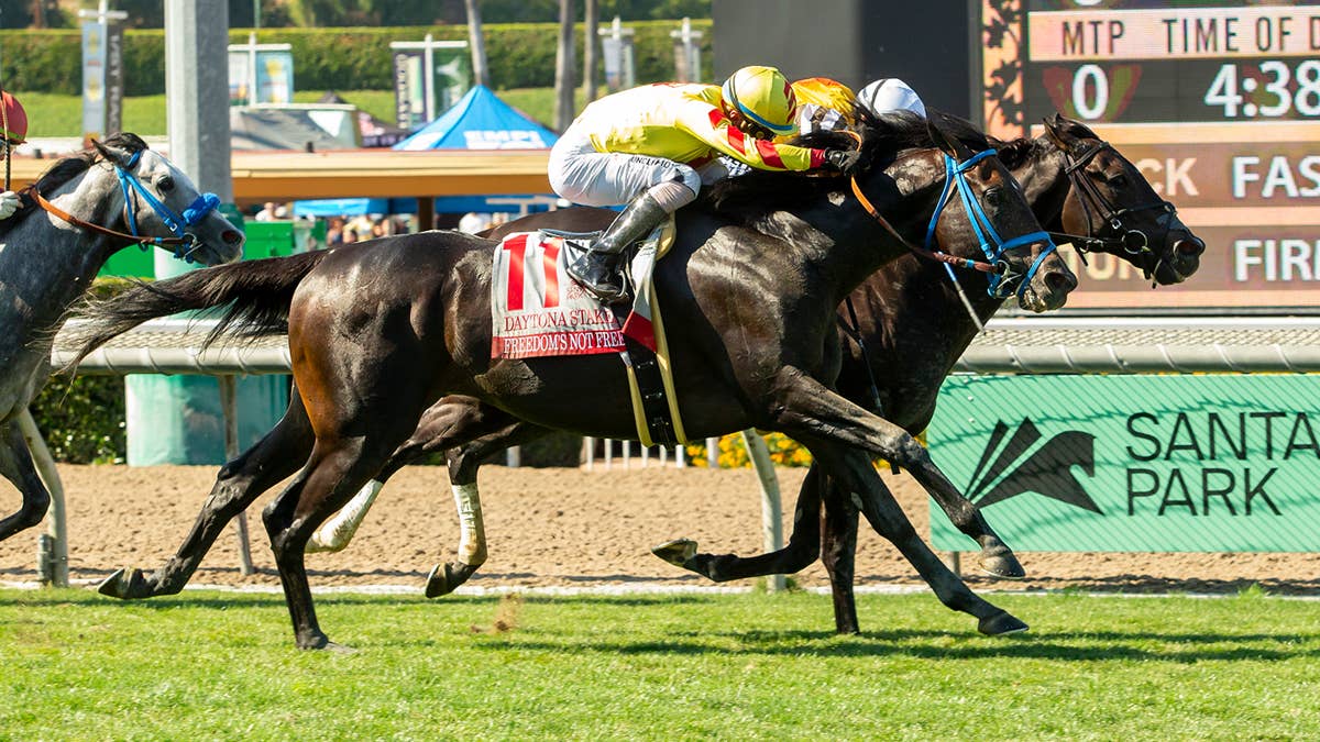 Daytona 1-2 Finishers Freedom's Not Free, Sumter Could Meet Again At Del Mar