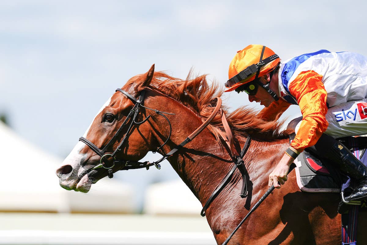 Costa Nova Notches Second Straight February Victory, Earns