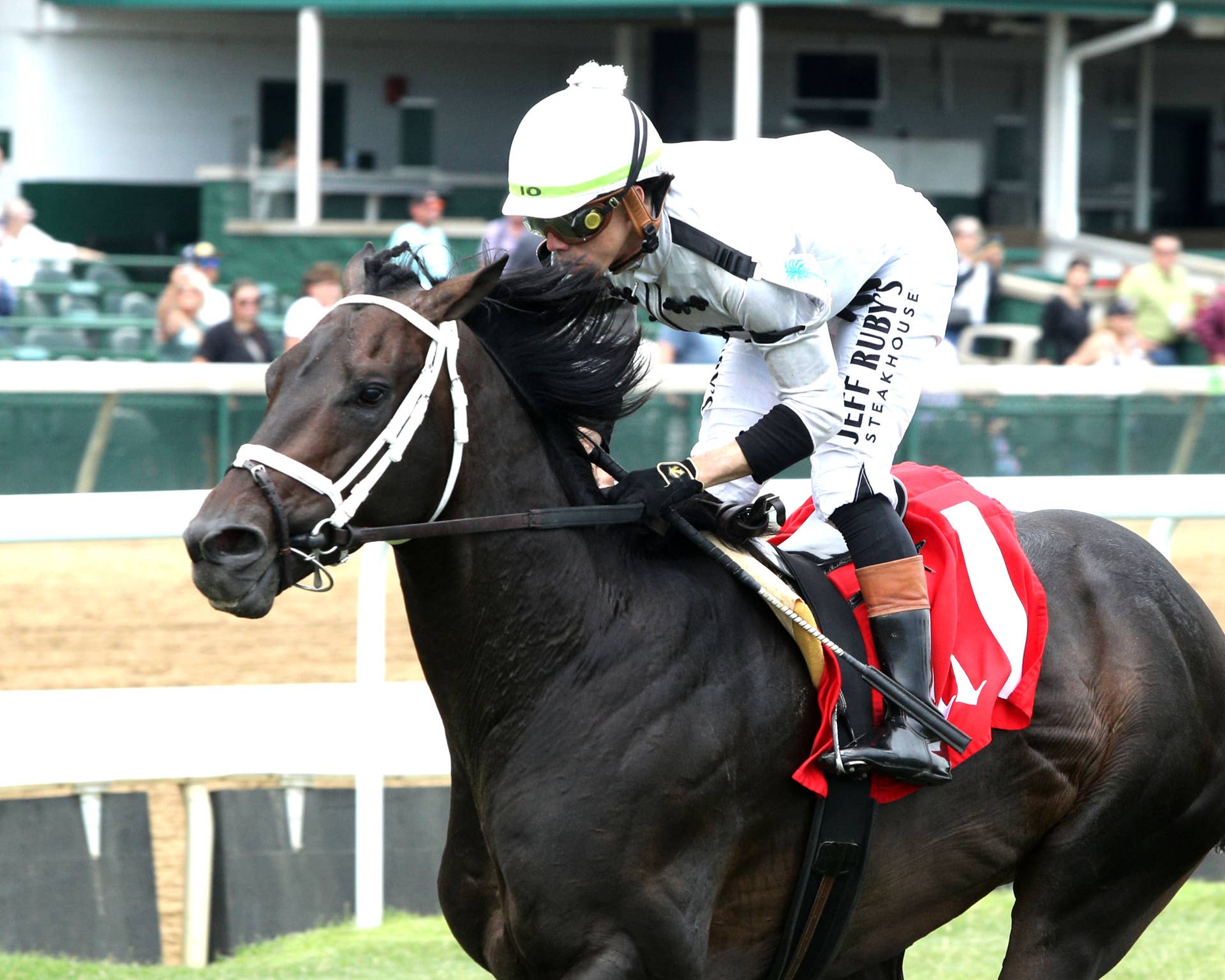 Royal Guard Sets Turf Course Record In Maiden Score At Churchill ...
