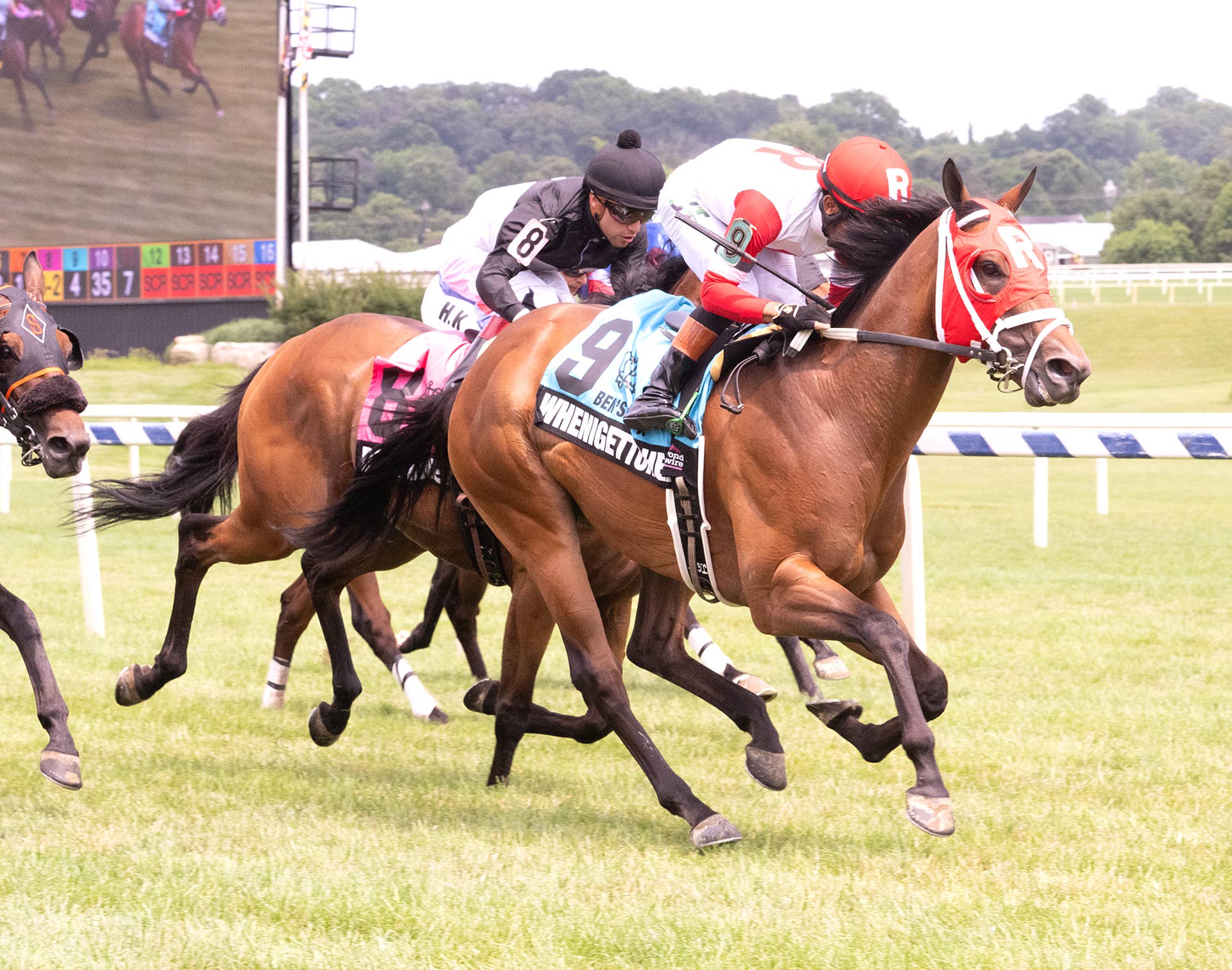 Gentildonna Surges to Victory in Dubai Sheema Classic - Paulick Report