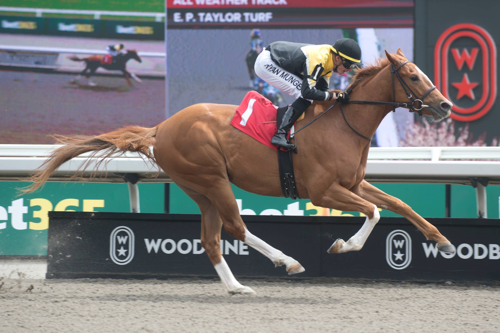 Gentildonna Surges to Victory in Dubai Sheema Classic - Paulick Report