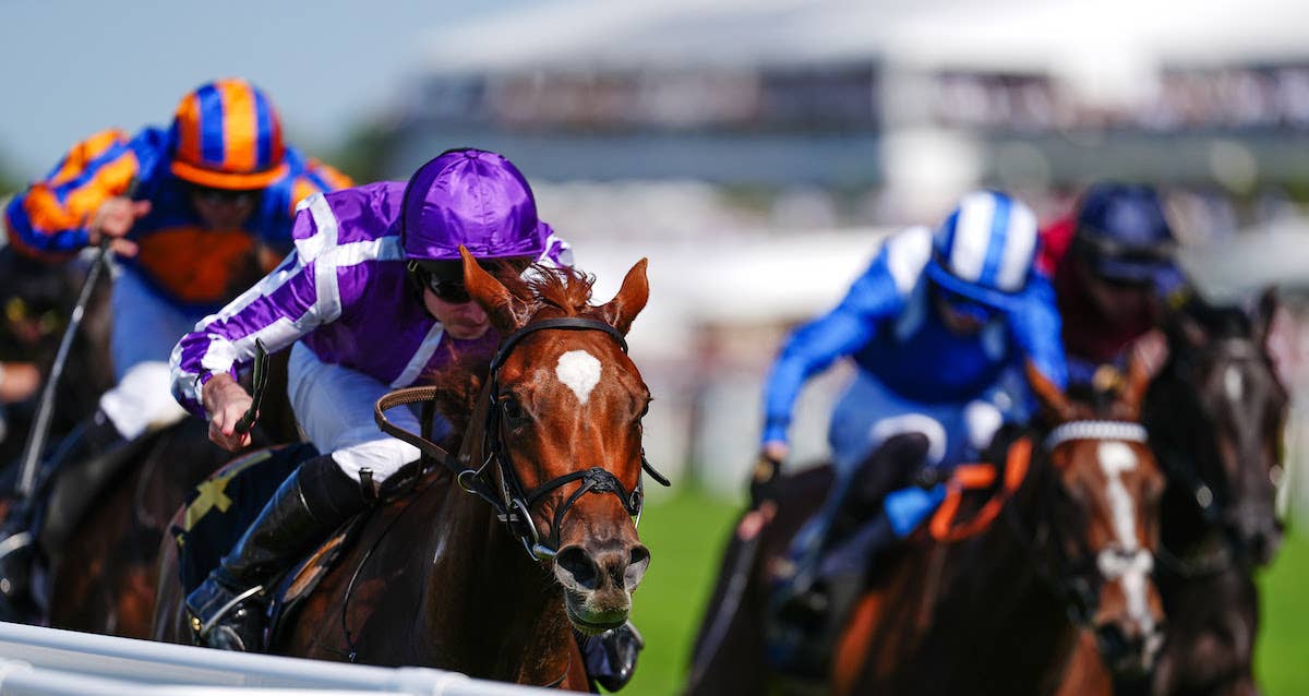 Gentildonna Surges to Victory in Dubai Sheema Classic - Paulick Report