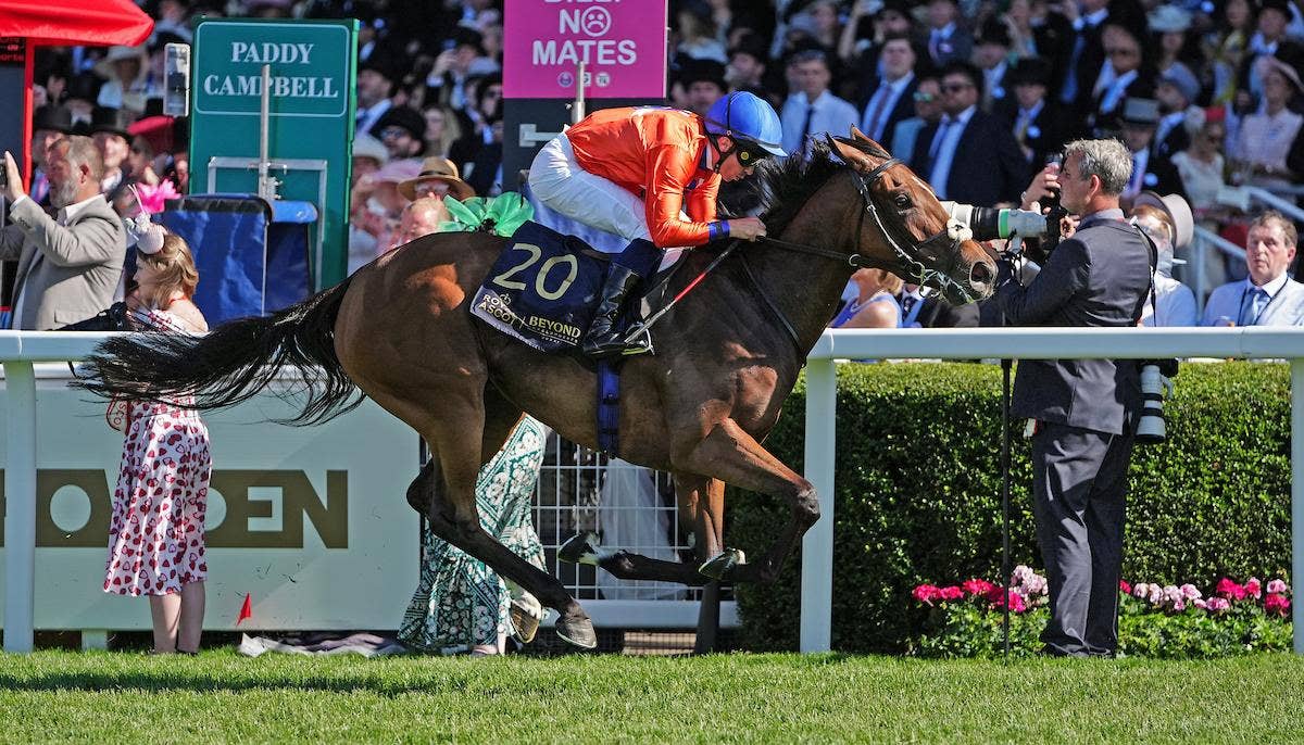 Gentildonna Surges to Victory in Dubai Sheema Classic - Paulick Report