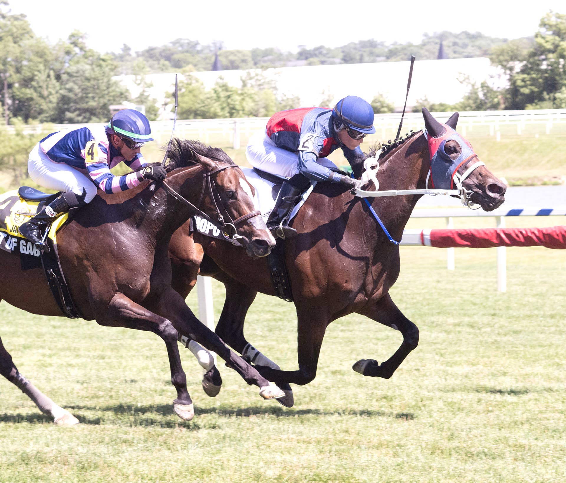 Mopo Wows Former TV Star Owner With First Stakes Triumph In Jameela ...
