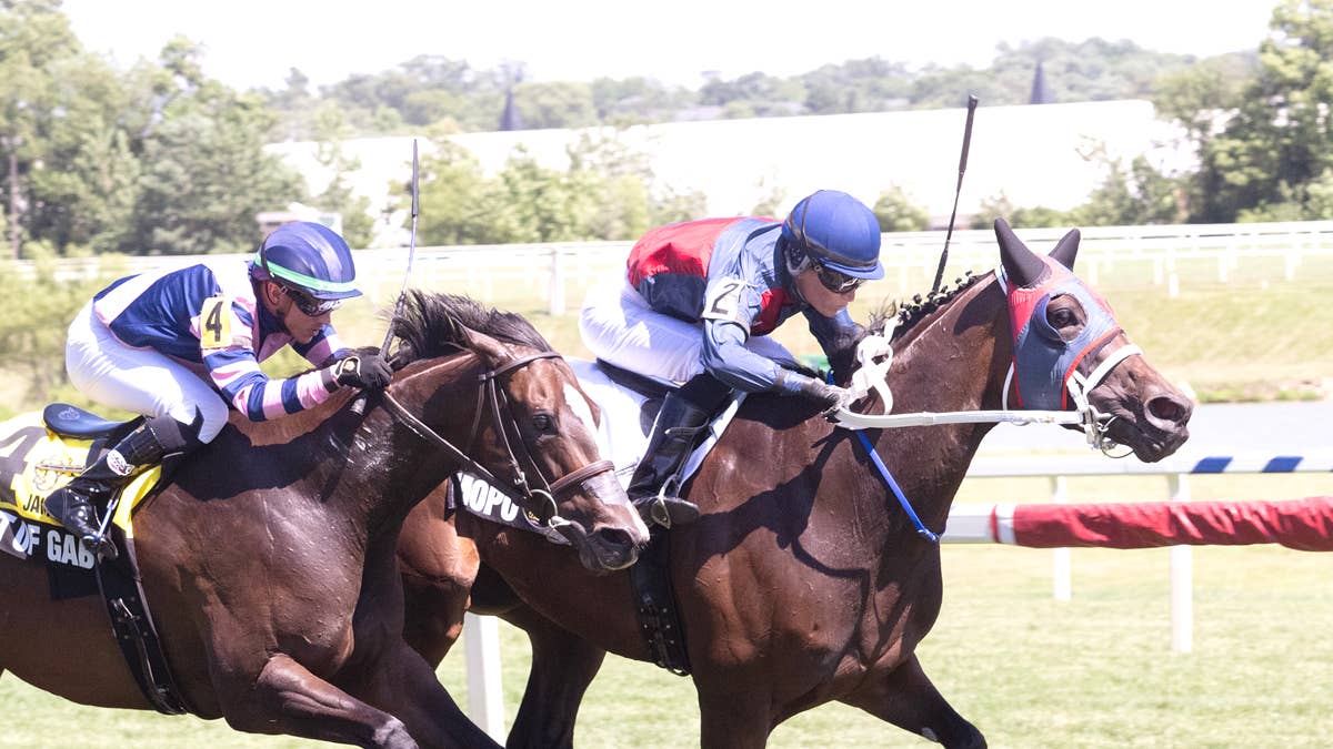 Trainer Phillip Capuano Looks For Mopo To Take Another Step Forward In Incredible Revenge Stakes