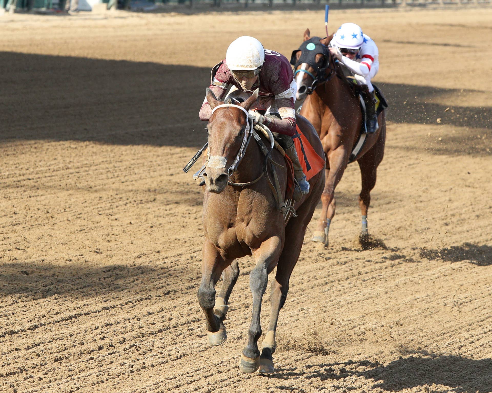 Gentildonna Surges to Victory in Dubai Sheema Classic - Paulick Report