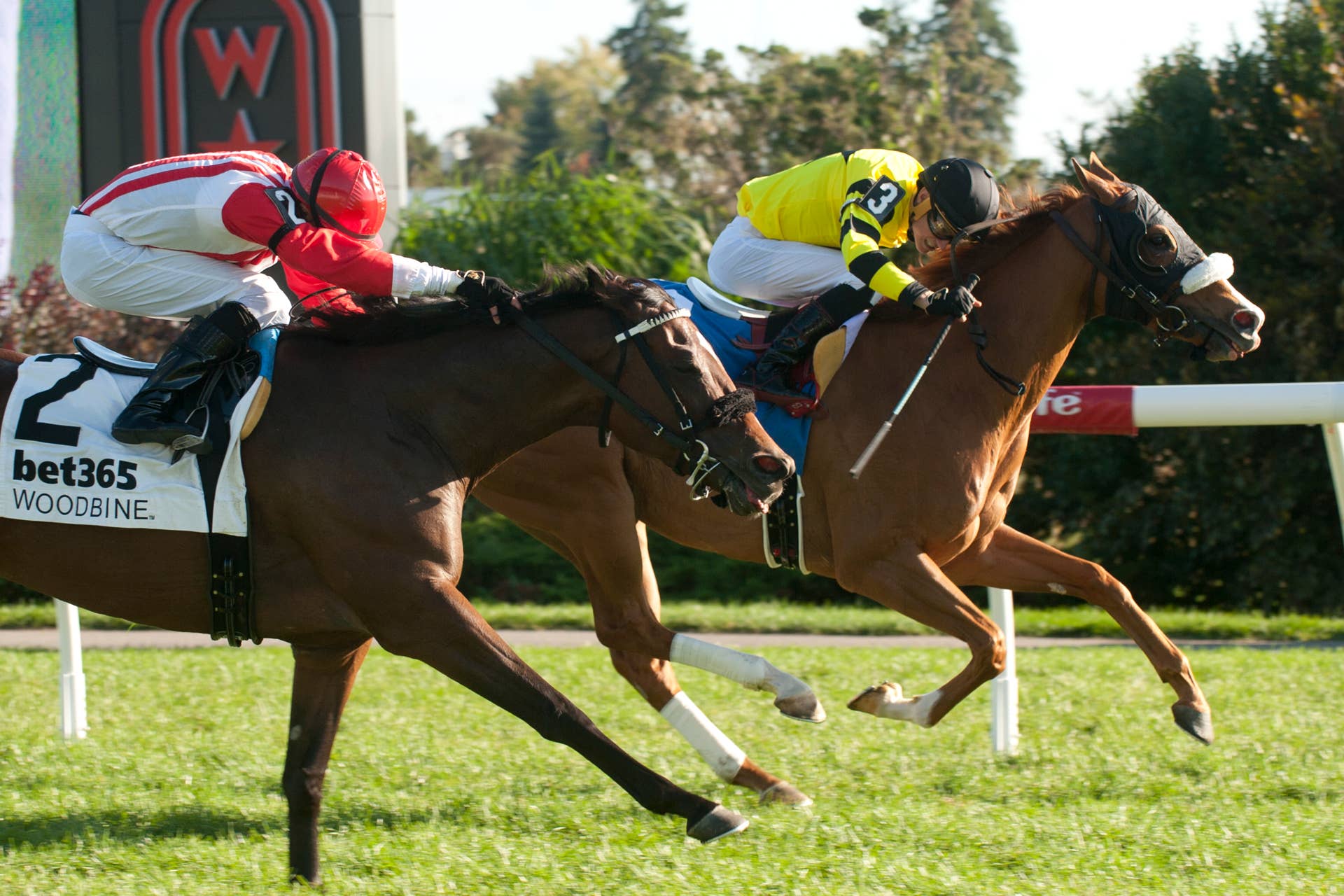 Miss Vyvyanne Goes For Five Straight In Highlander Stakes