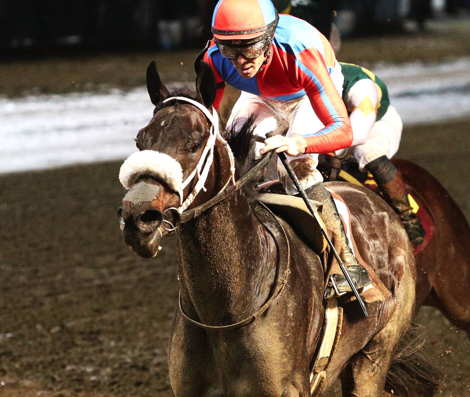 Gentildonna Surges to Victory in Dubai Sheema Classic - Paulick Report