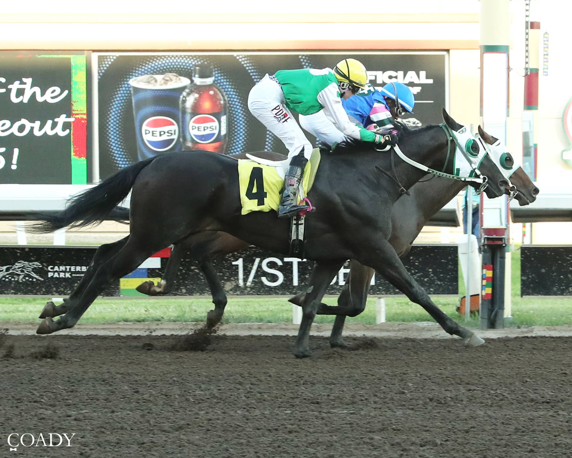 Gentildonna Surges to Victory in Dubai Sheema Classic - Paulick Report