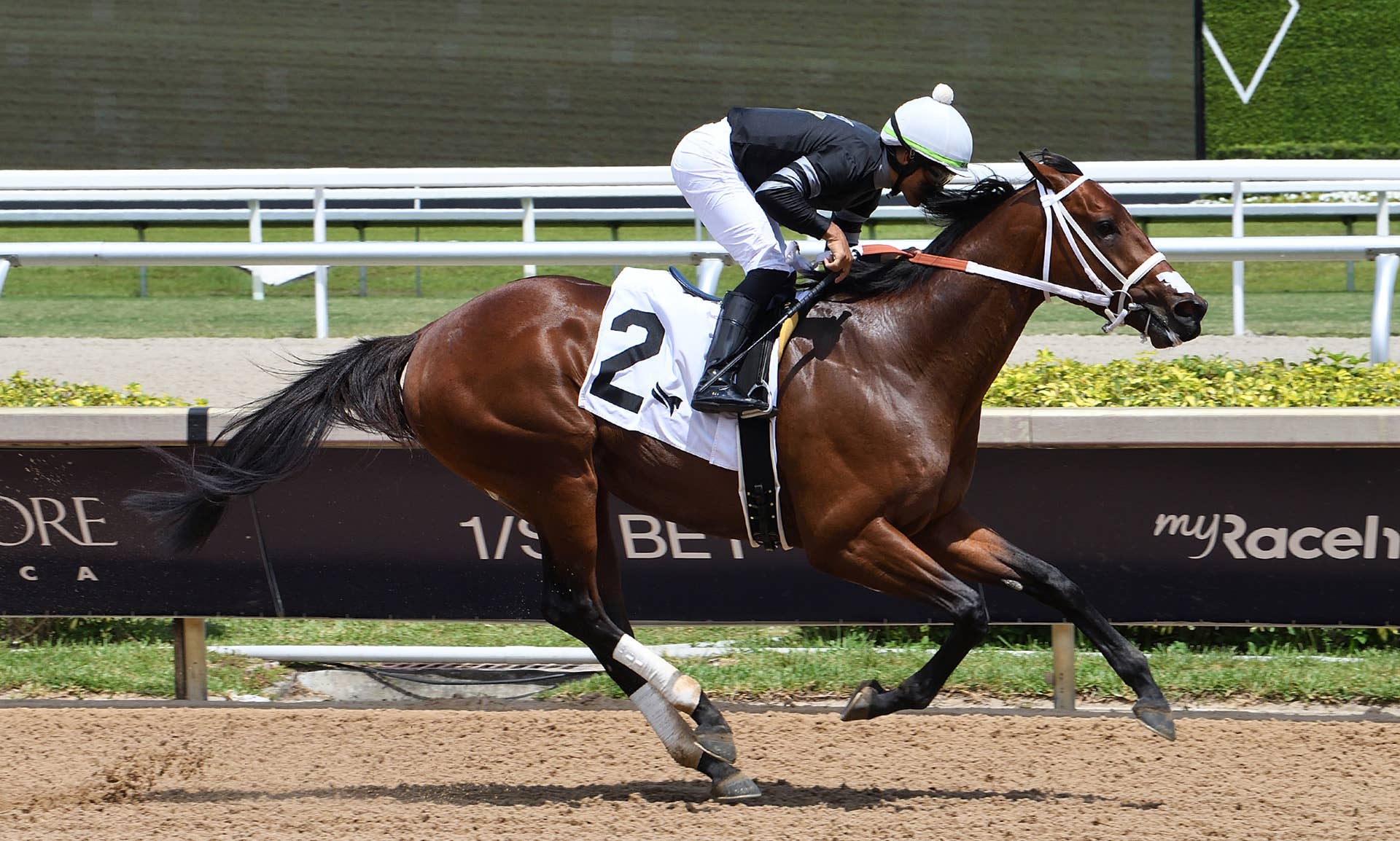 Gentildonna Surges to Victory in Dubai Sheema Classic - Paulick Report
