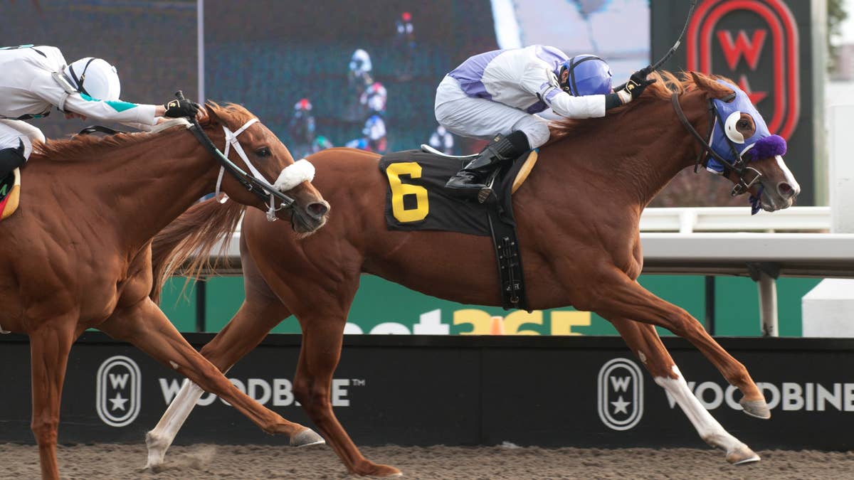 Stroke Of Genius Will Be Tested In Alywow Stakes