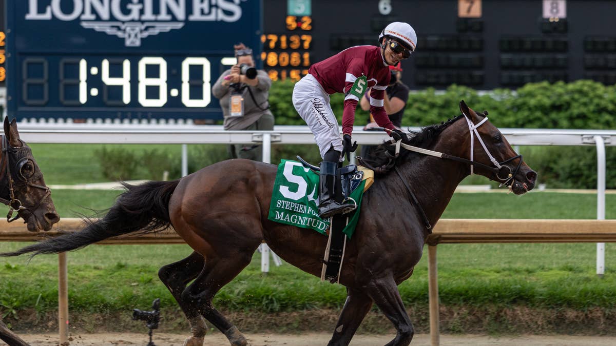 Magnitude Joins World’s Best Racehorse Top 10