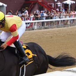 Bloodlines Presented By Walmac Farm: Harper's Corner Strikes An Early Blow For Freshman Speaker's Corner