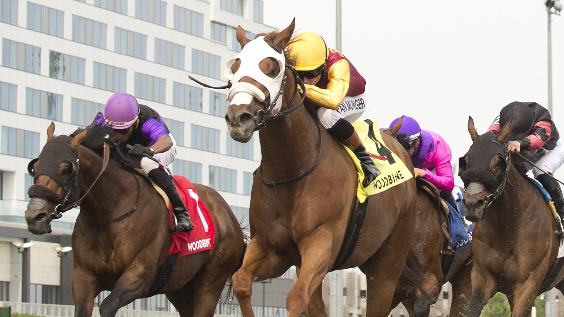 Gentildonna Surges to Victory in Dubai Sheema Classic - Paulick Report