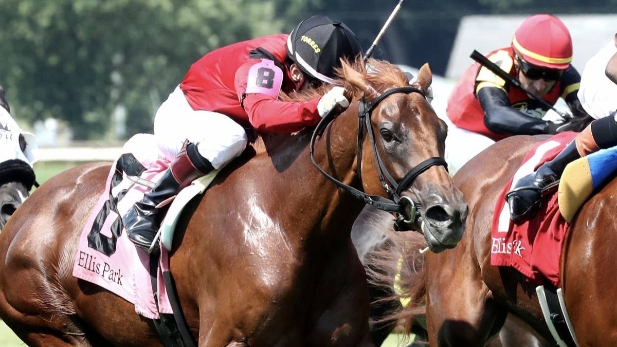 Triskelion Prevails In Three-Horse Photo For Pea Patch Victory